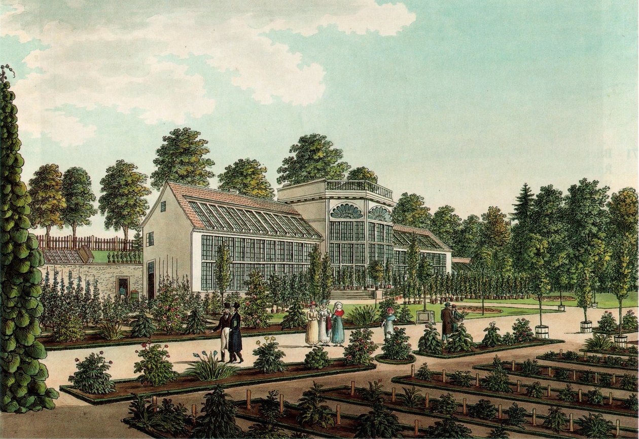 Skleník ve staré botanické zahradě v Göttingenu, v pozadí městská zeď. Barevný lept od Friedrich Besemann