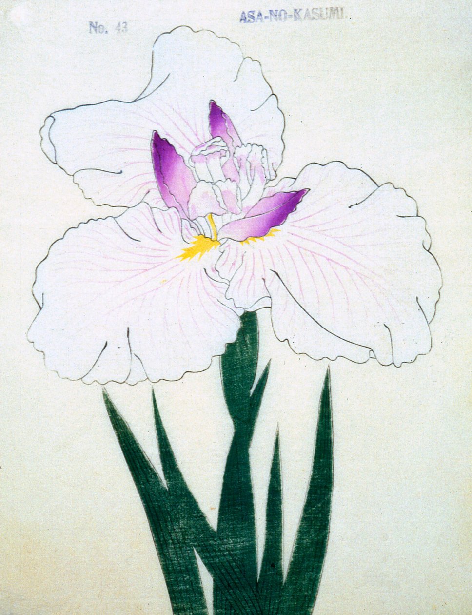 Mělký. Kasumi Arimura. 43, 1898 od Japanese School