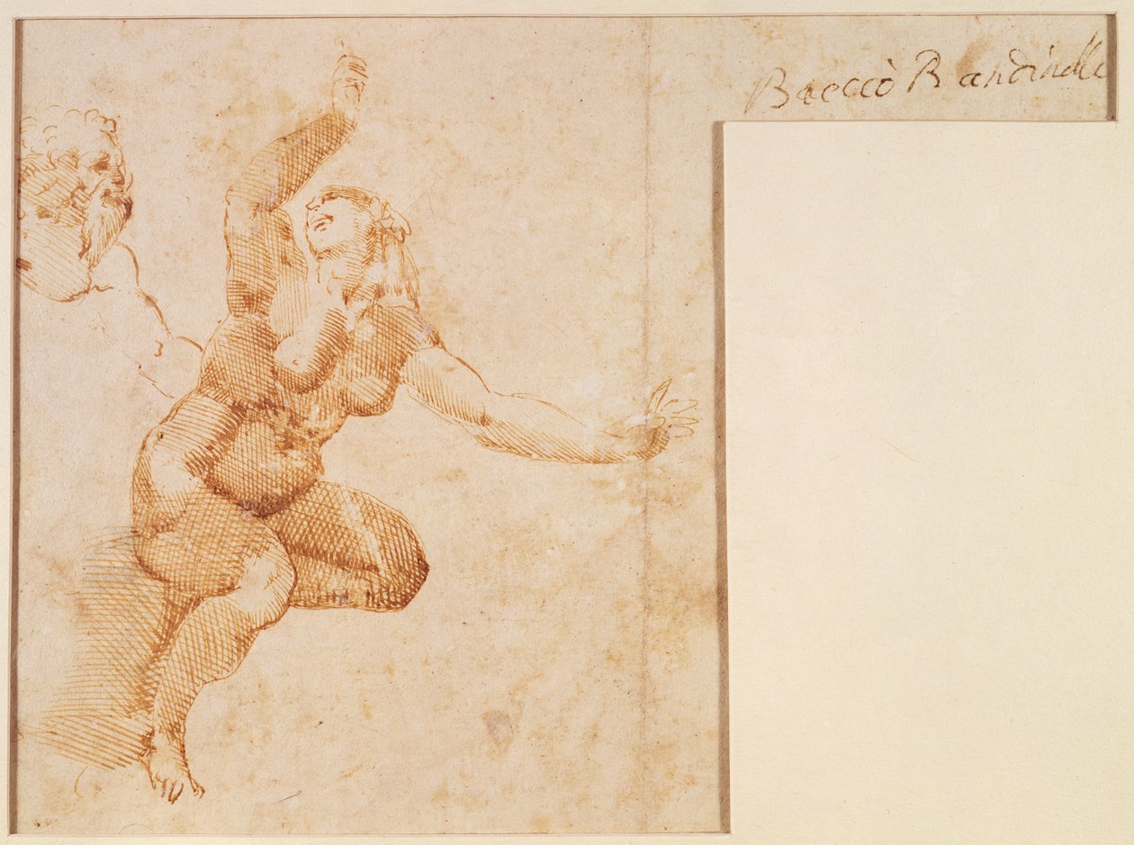 Studie ženského aktu od Michelangelo Buonarroti