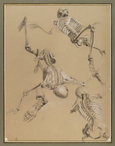 Studie koster, 1848 (křída na papíře)