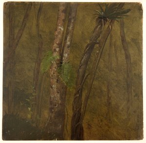 Krajina na Jamajce od Frederic Edwin Church