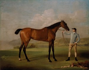 Molly Long-legs se svým žokejem od George Stubbs