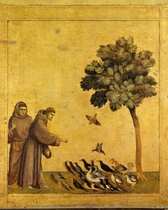 Svatý František z Assisi káže ptáky. Detail predele svatého Františka z Assisi přijímajícího stigmata. Obraz Giotto Di Bondone