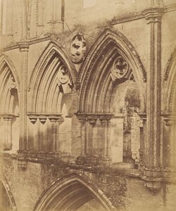 opatství Rievaulx. The Triforium Arches, 1850
