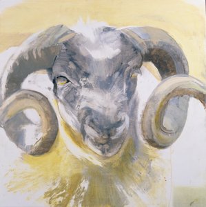 Long Horn Sheep (kombinovaná média na gesso panelu)