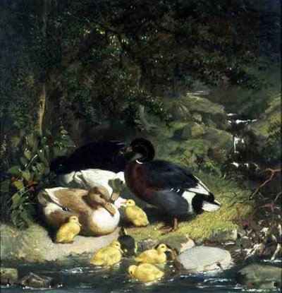 Kachny a kachňata od John Frederick Herring Senior