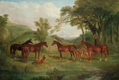 The Streatlam Stud, Mares and Foals, 1836 od John Frederick Herring Senior