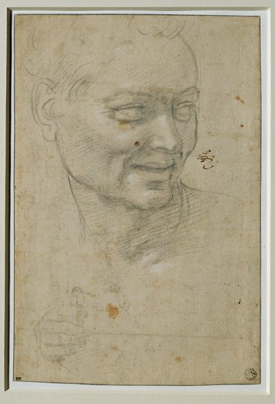 Hlava a pravá ruka ignuda nad Izaiášem a vlevo od něj, na klenbě Capella Sistina ... od Michelangelo Buonarroti