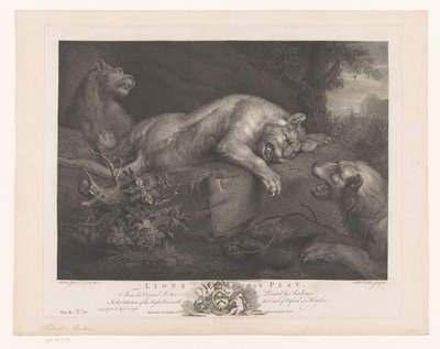 Drie spelende leeuwen Lvi ve hře (název na předmětu) Schilderijen v The Houghton Gallery (název série) The Houghton Gallery (název série) od William Walker